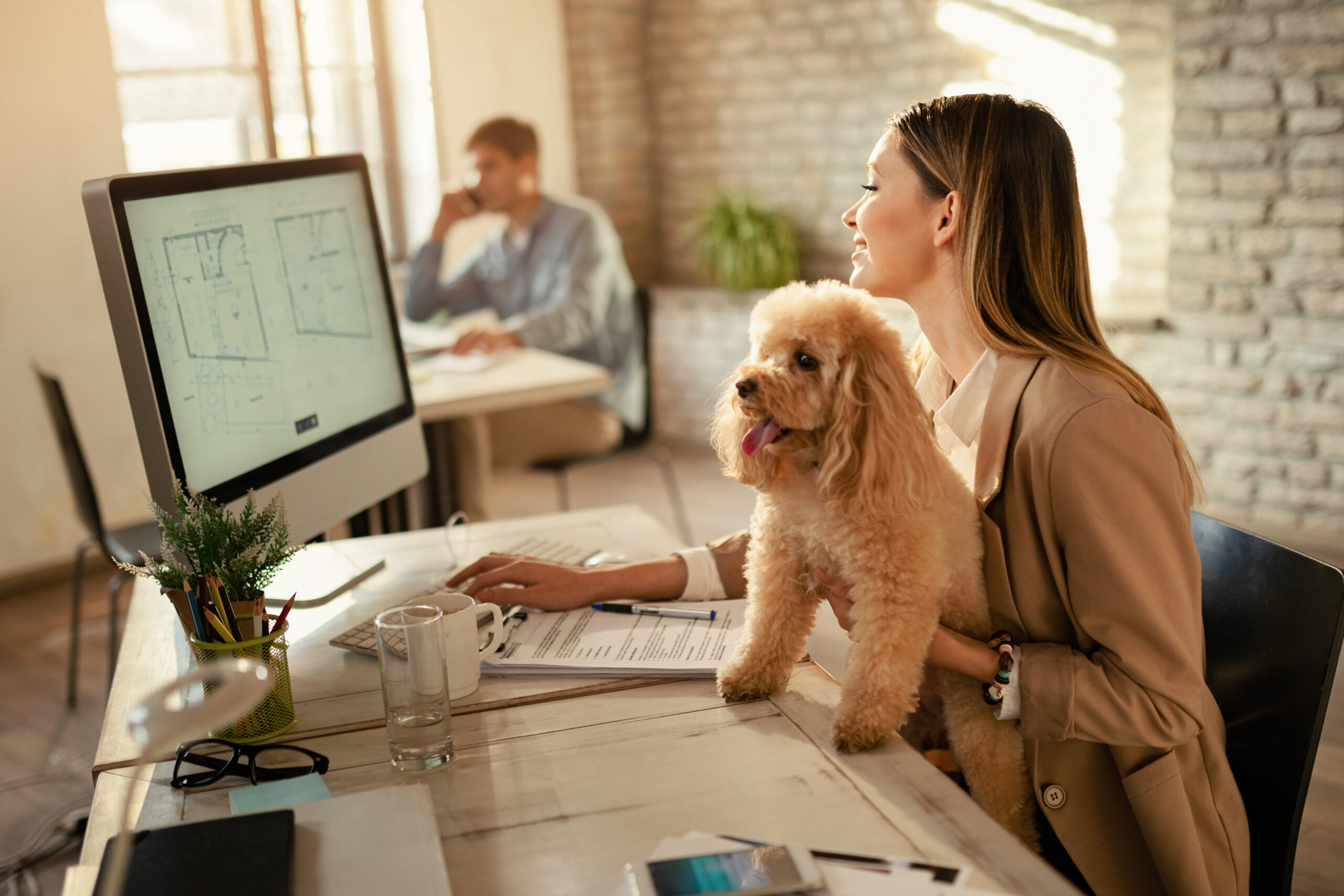 Dog-friendly workplace.